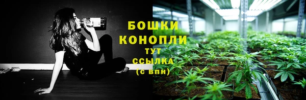 герыч Бородино
