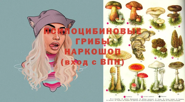 герыч Бородино